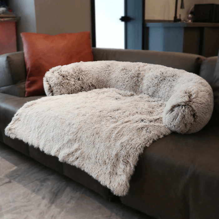 Calming Couch Cover Bed